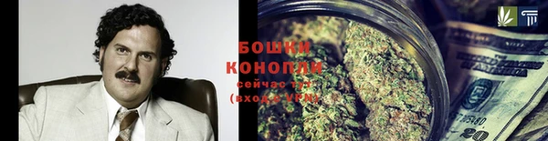 mix Богородицк