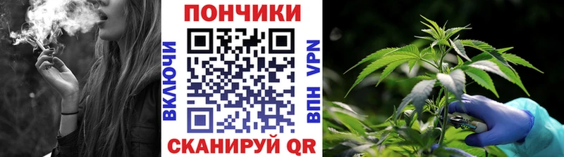 Марихуана Amnesia  где купить наркоту  Пикалёво 